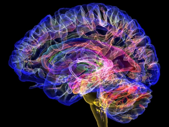 多人轮换灌j视频大脑植入物有助于严重头部损伤恢复